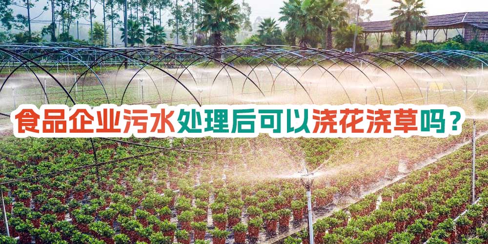 食品企業(yè)污水處理后可以澆花澆草嗎？