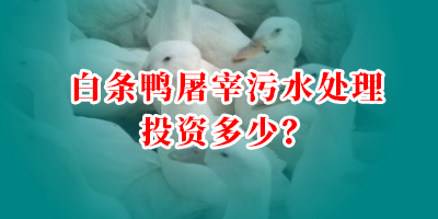 白條鴨屠宰污水處理投資多少？