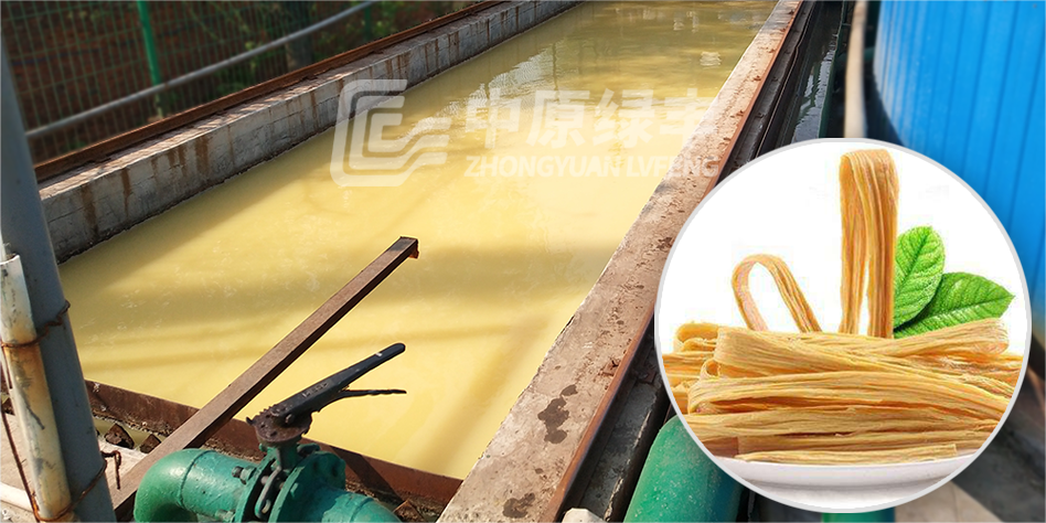豆制品廢水酸敗快怎么解決？