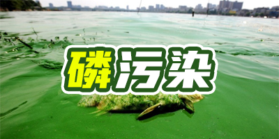 含磷廢水有什么特點(diǎn)？哪種除磷方法成本比較低？